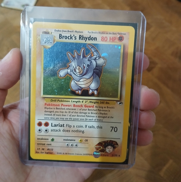 Brock's Rhydon - Picture 3 of 3